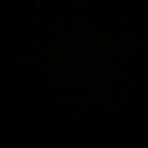 Meet your Posher, Dane